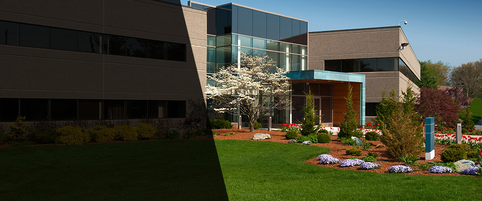 Bridgeport Landscapers