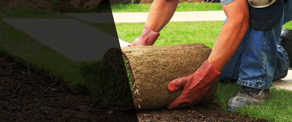 Bridgeport Landscapers